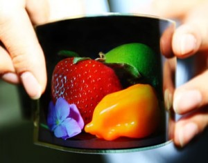 Flexible Display