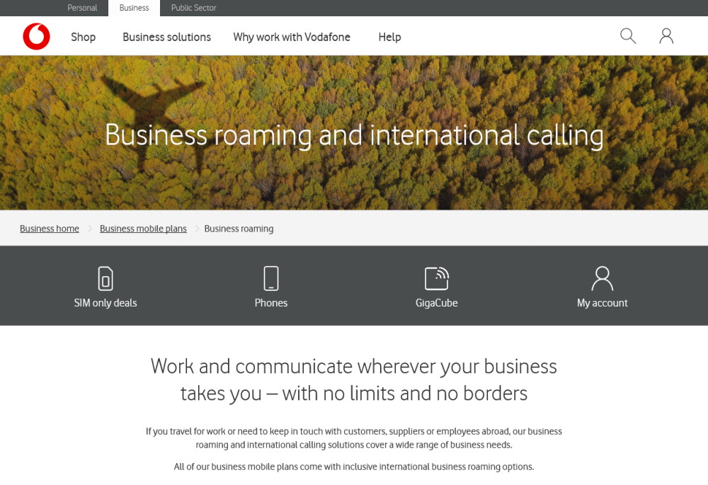vodafone business plans roaming